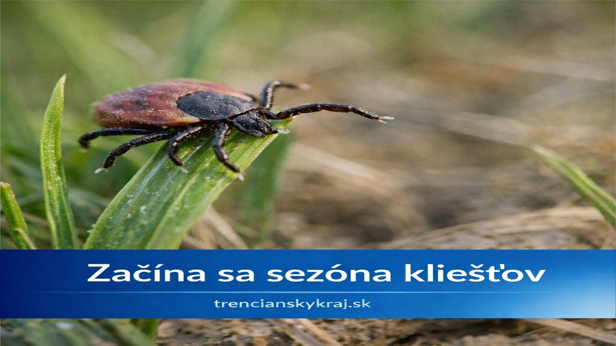 Sezóna kliešťov 2026: čaká nás invázia alebo len bežné riziko?