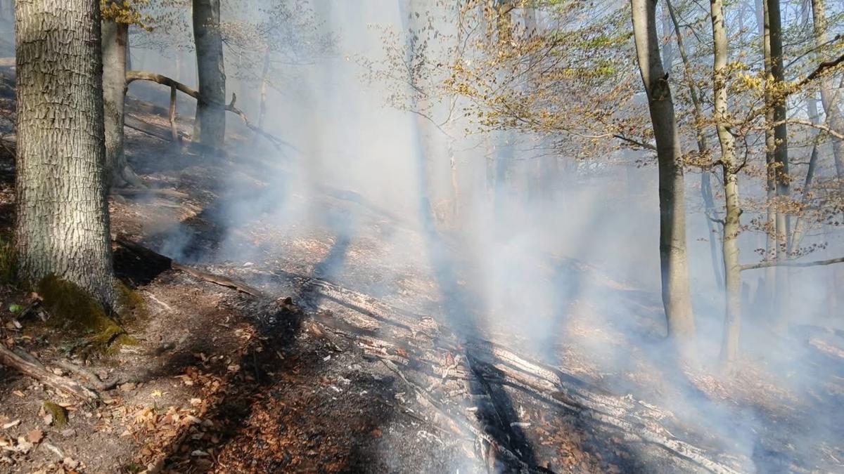 Požiar lesa pri Považskej Bystrici sa rýchlo šíril. Hasiči varujú pred suchom