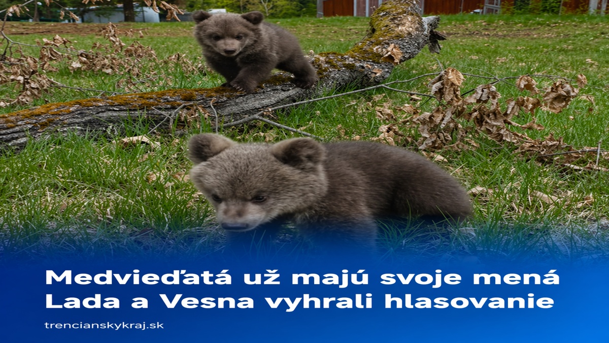 Medvieďatá zo ZOO Bojnice už majú mená. Príbeh so šťastným dojal + VIDEO