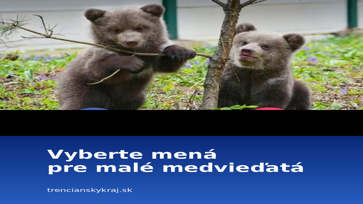 Medvieďatá z Bojníc majú 2 mesiace: O ich menách rozhodne verejnosť