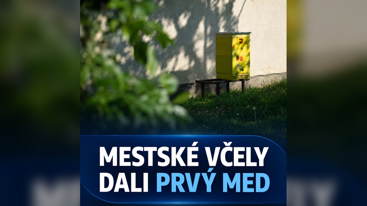Dubnické mestské včely dali prvý jarný med. Vyše 30 kíl poputuje aj do škôl